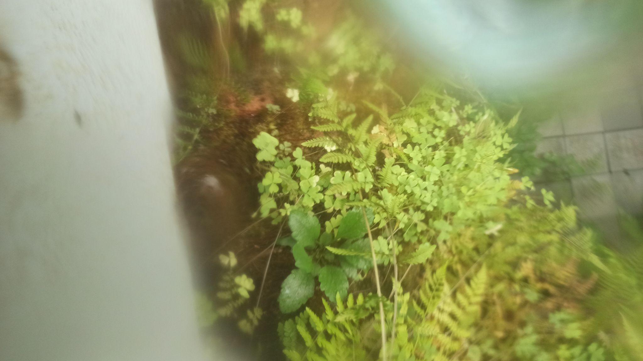 Новини Житомира - фото з Надворі осінь, а у житомирському проваллі завжди весна