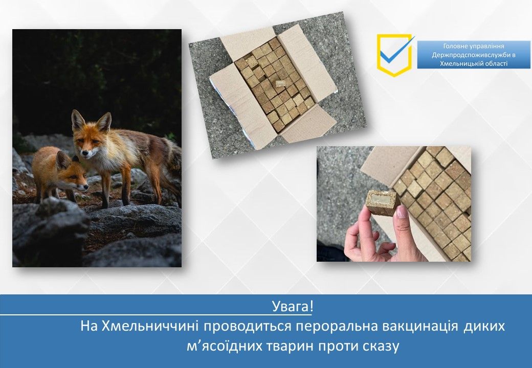 Новини Хмельницького - фото з На Хмельниччині розкладатимуть вакцину від сказу для диких тварин