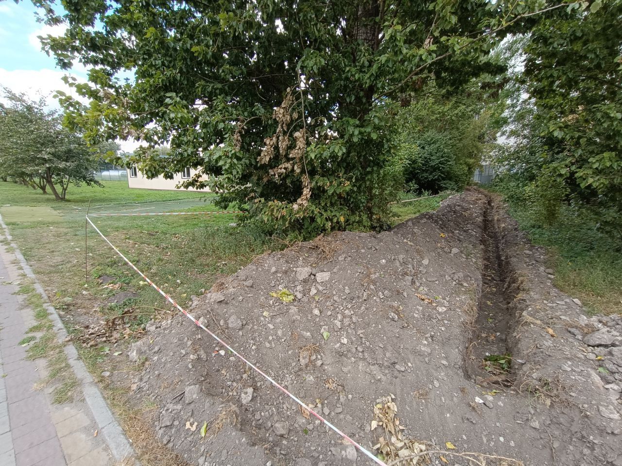 Новини Тернополя - фото з У парку Сопільче вздовж алеї викопали траншею: що роблять та чи не пошкодили дерева? Ми дізналися