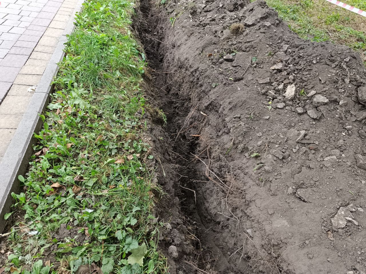 Новини Тернополя - фото з У парку Сопільче вздовж алеї викопали траншею: що роблять та чи не пошкодили дерева? Ми дізналися