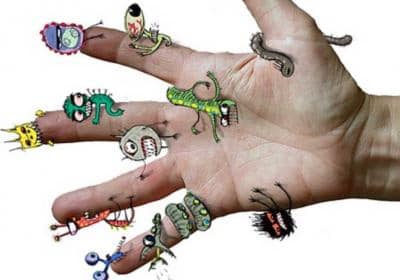 Новини Козятина - фото з Домашні тварини, брудні руки та немиті овочі. Нагадують про профілактику глистів у дітей