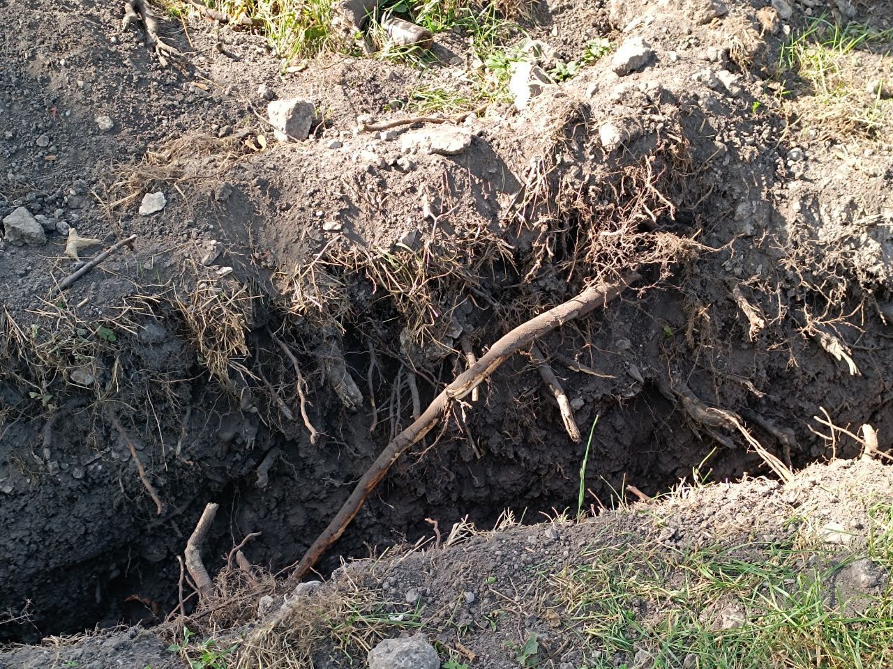 Новини Тернополя - фото з У парку Сопільче копали траншею та пошкодили коріння дерев: ми дізналися подробиці