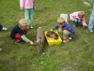 Новини Тернополя - фото з Захоплень вистачить на всіх: перелік безкоштовних гуртків та секцій для дітей у Тернополі
