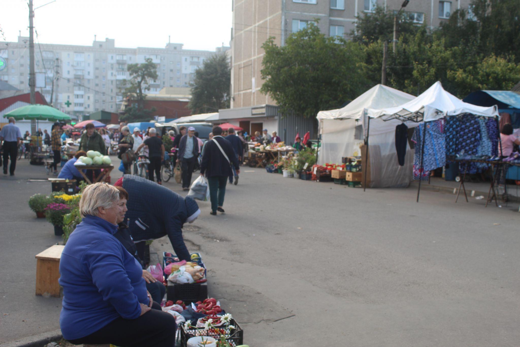 Новини Козятина - фото з Вибір риби, дешева гречка й дорогі кавуни. Огляд цін на ринку