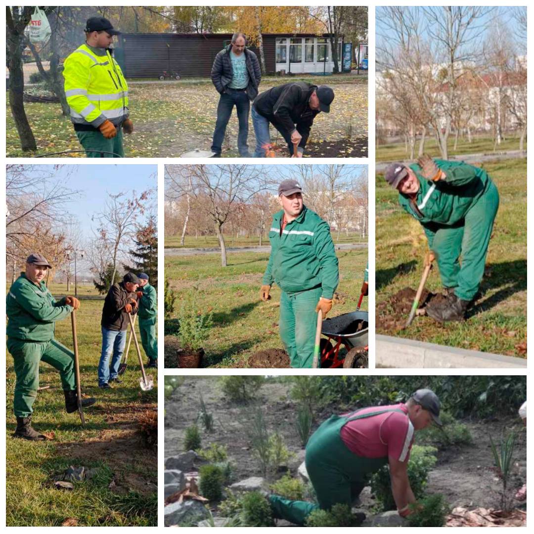 Возможно, это изображение 8 человек и дерево