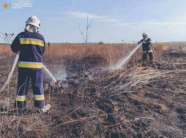 Новини Тернополя - фото з На Кременеччині горить торф