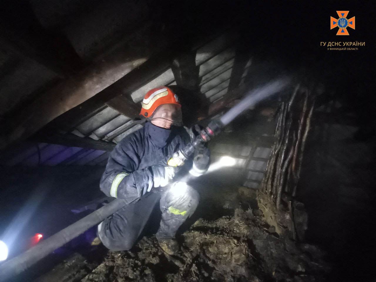 Новини Вінниці - фото з З палаючого будинку на Вінниччині надзвичайники врятували кота власника