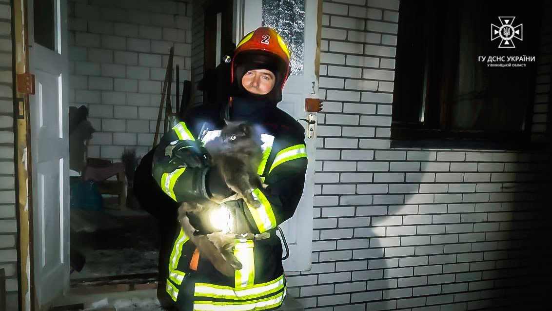 Новини Вінниці - фото з З палаючого будинку на Вінниччині надзвичайники врятували кота власника