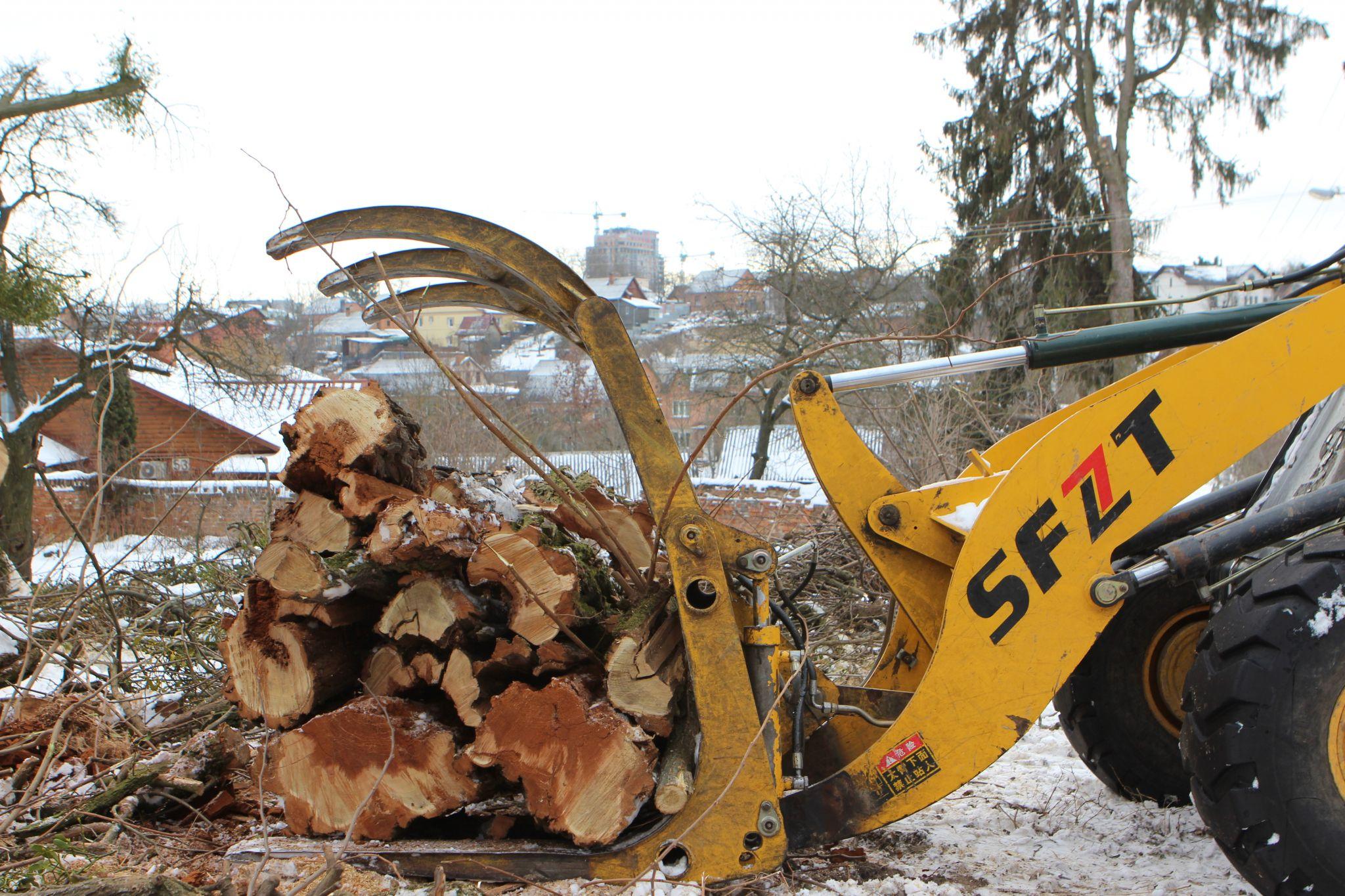 Новини Вінниці - фото з «Вони ріжуть здорові дерева і продають їх на дошки»: що відбувається у П'ятничанському парку