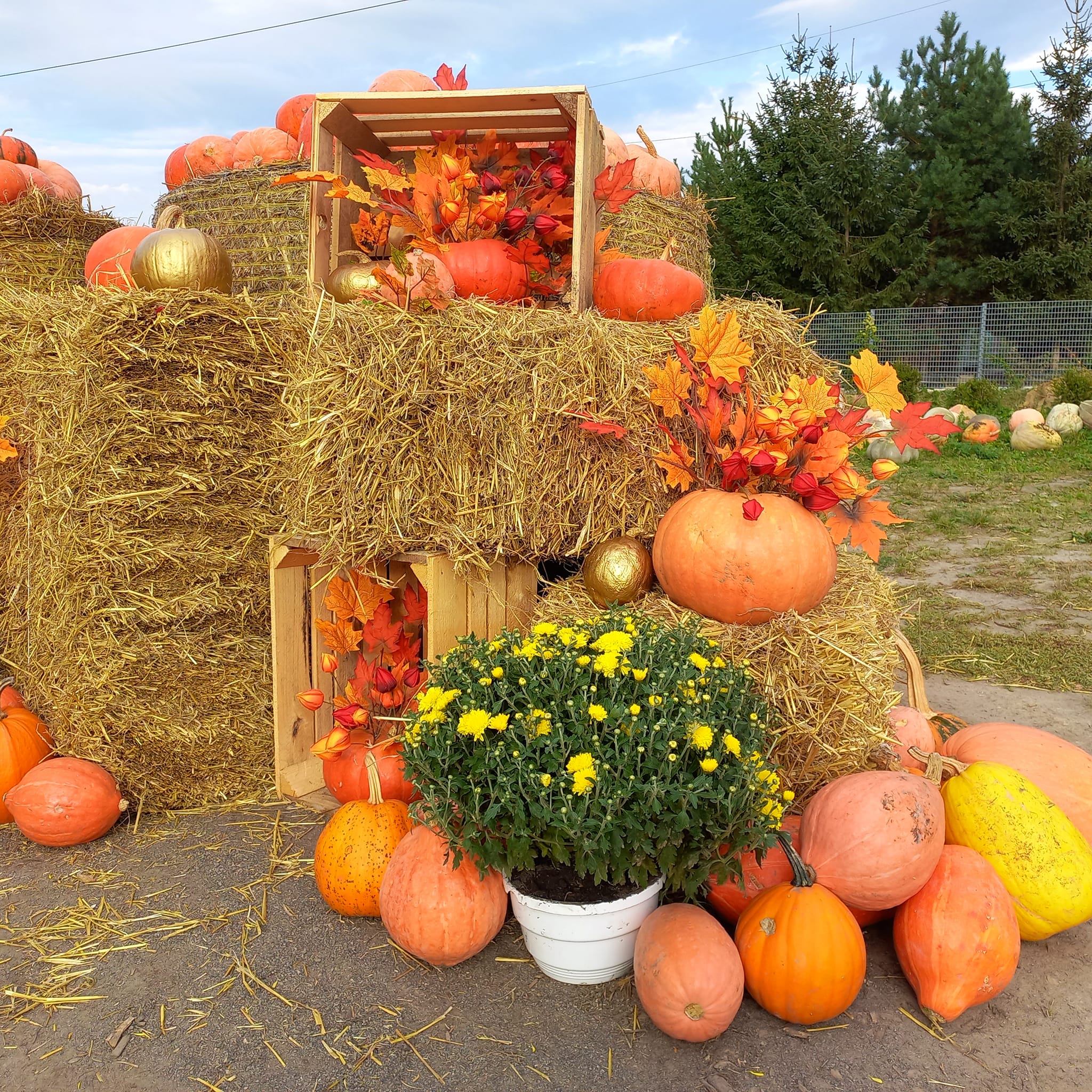 Новини Вінниці - фото з Осіння фотосесія у Вінниці: десять атмосферних локацій у серці міста