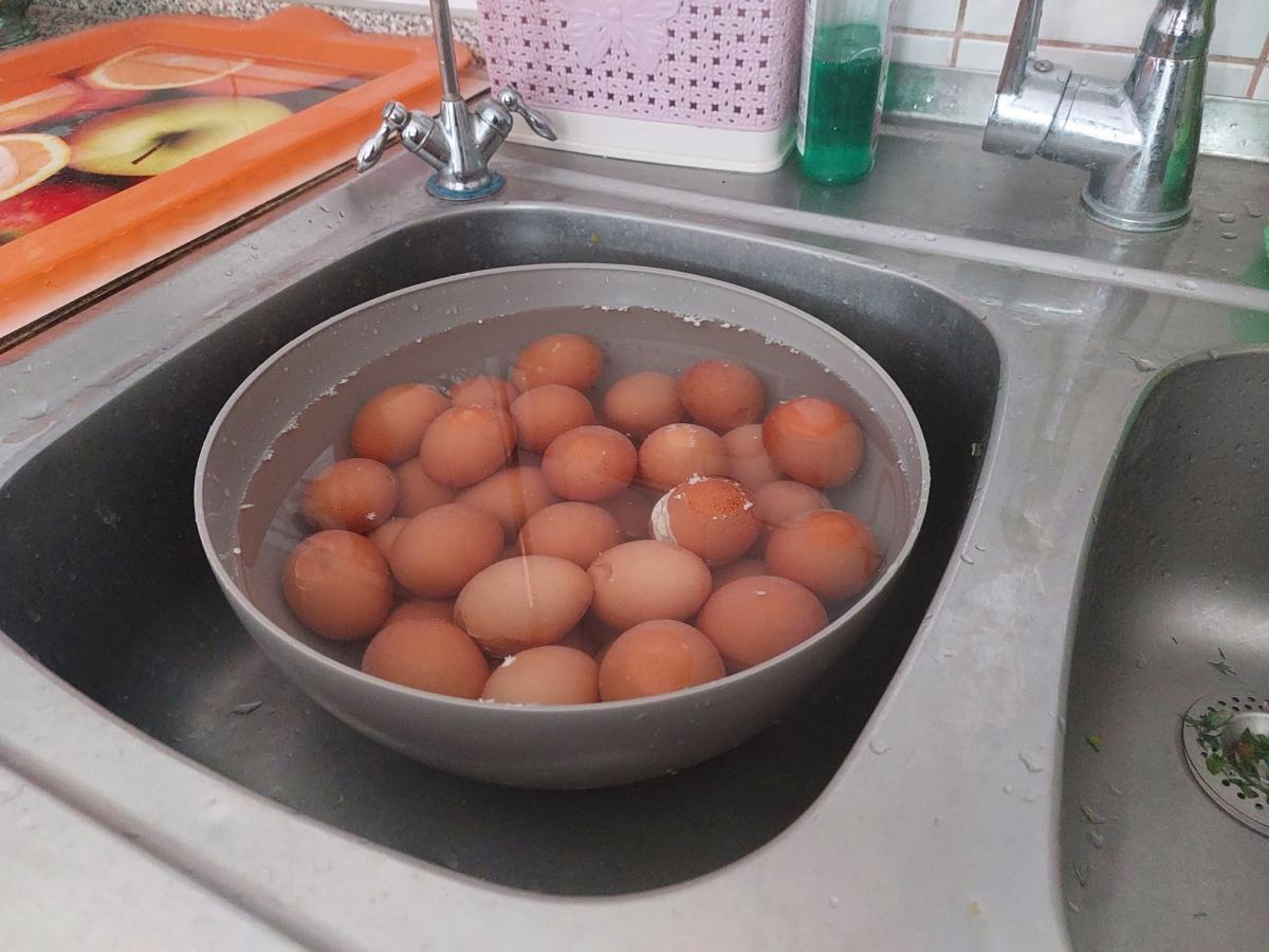 Новини Тернополя - фото з Нашого дому вже немає… Будинок сімейного типу з Донеччини, де 11 дітей, знайшов прихисток на Тернопіллі