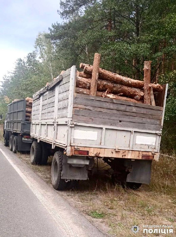 Новини Житомира - фото з На Овруччині зупинили вантажівку з понад 23 кубами лісу без дозвільних документів понад 23 кубів лісу без дозвільних документів: поліцейські перевіряють законність перевезення вантажу