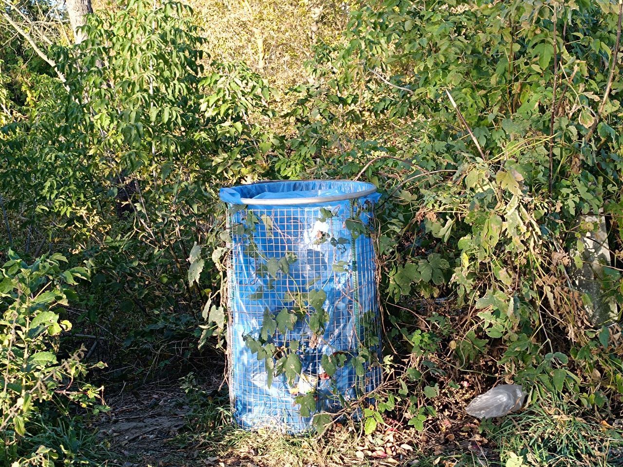 Новини Вінниці - фото з Знайшли чудовий варіант для осіннього відпочинку: Затишний «Ільківський став» у Горбанівці