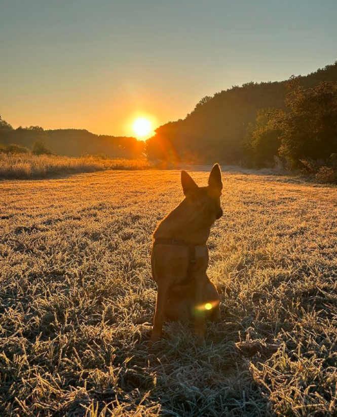 Новини Хмельницького - фото з Хмельничани в Instagram: зібрали підбірку фото за останній тиждень
