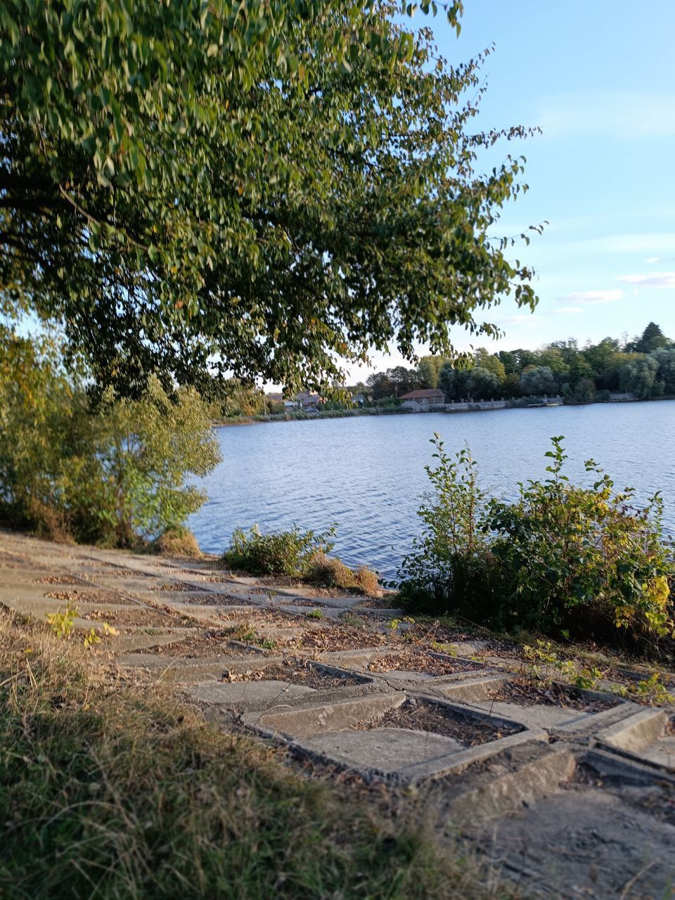 Новини Вінниці - фото з Знайшли чудовий варіант для осіннього відпочинку: Затишний «Ільківський став» у Горбанівці