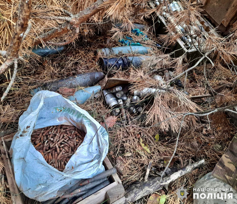 пішов у ліс по гриби, а знайшов склад боєприпасів: на житомирщині поліцейські знешкодили небезпечний арсенал