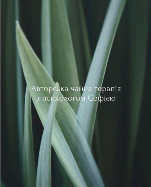 Новини Тернополя - фото з Чайна дегустація, «ліхтарик-паті» та вистави у театрі: куди піти у Тернополі 21-22 жовтня?