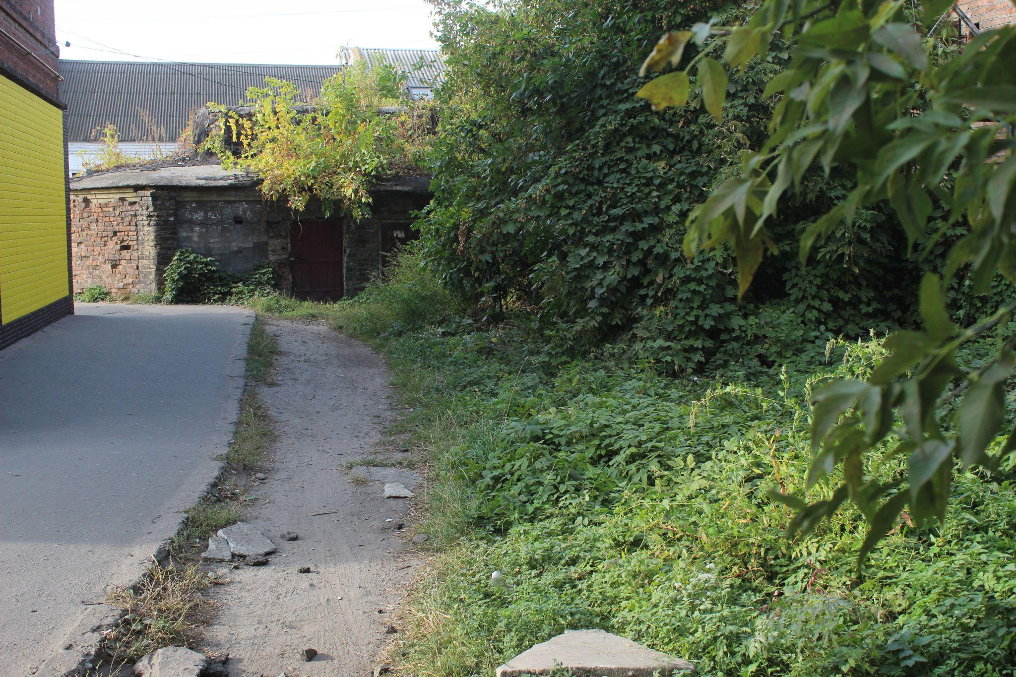 Новини Козятина - фото з Бур’яни на горілій рампі і райське місце та, на жаль, не у нас