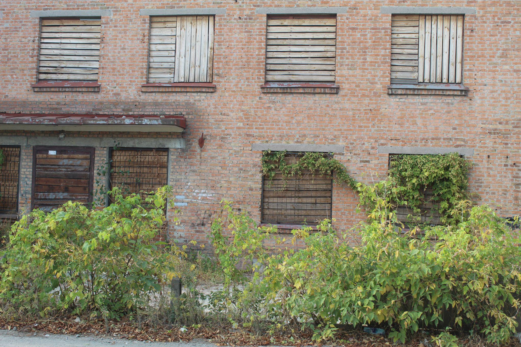 Новини Козятина - фото з Бур’яни на горілій рампі і райське місце та, на жаль, не у нас