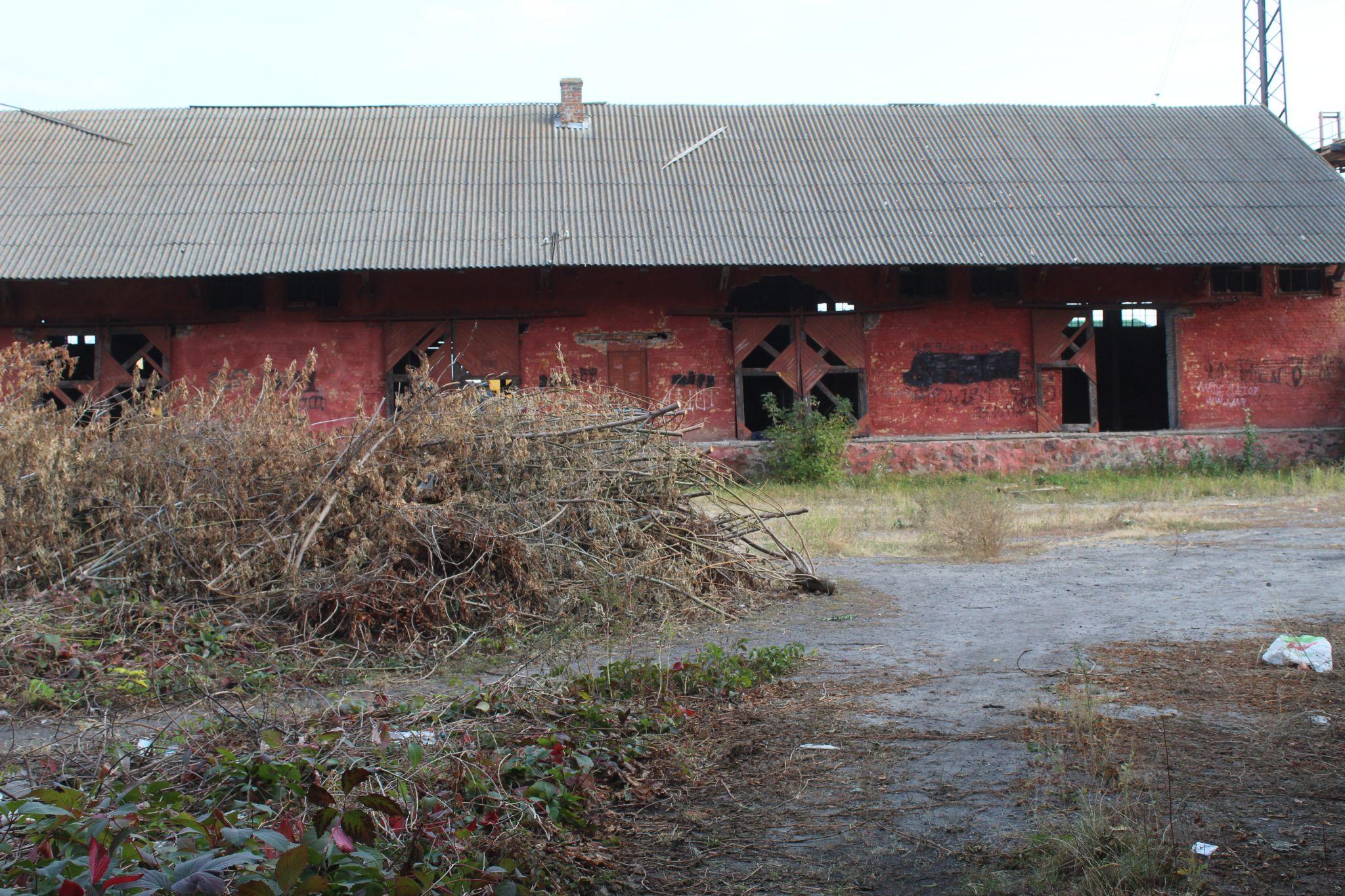 Новини Козятина - фото з Бур’яни на горілій рампі і райське місце та, на жаль, не у нас