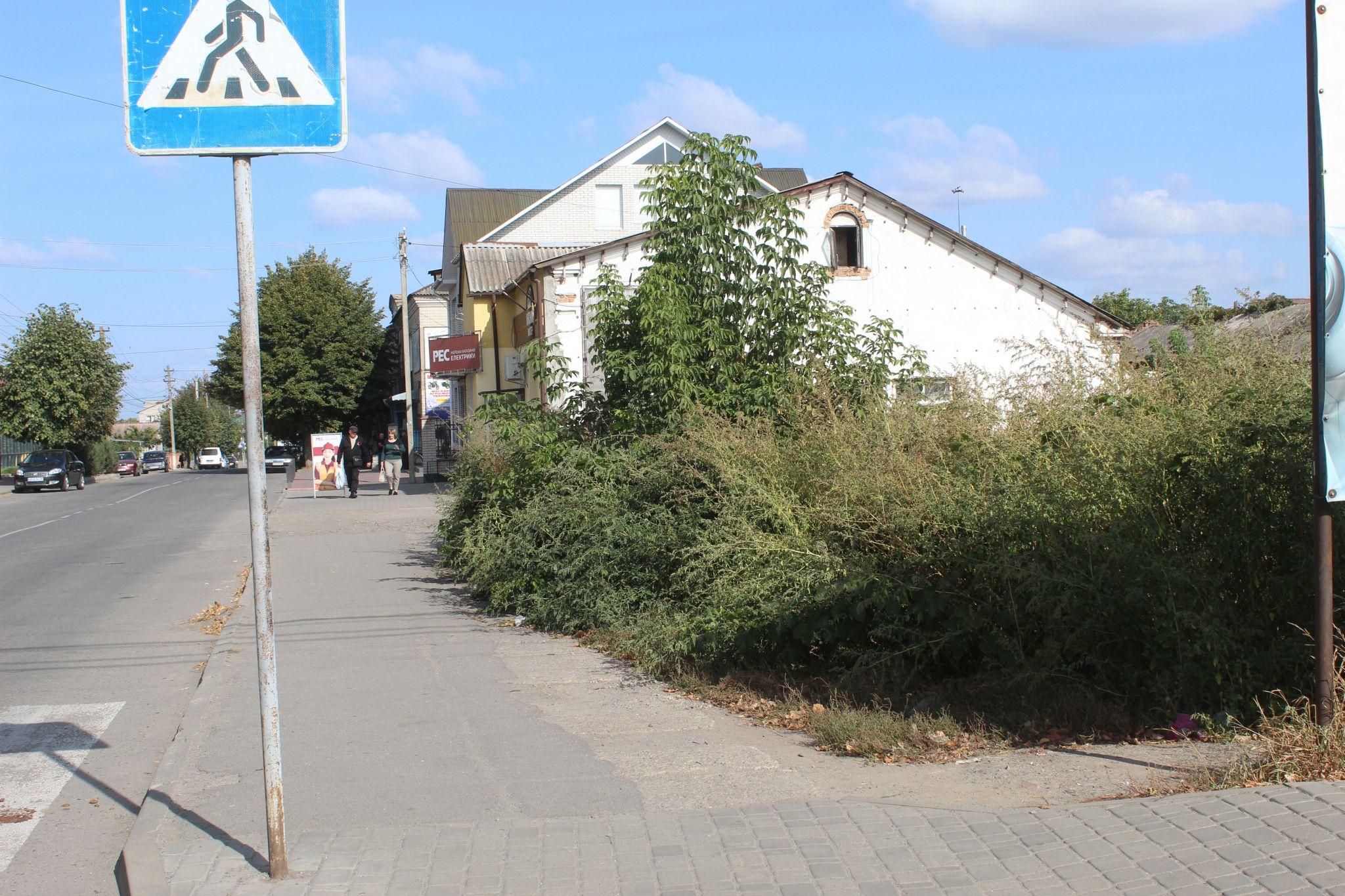 Новини Козятина - фото з Бур’яни на горілій рампі і райське місце та, на жаль, не у нас