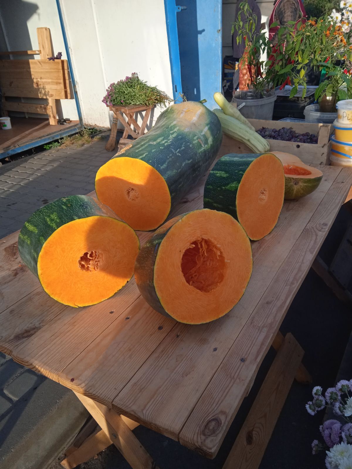 Новини Козятина - фото з На городі у глухівчан виріс гігант Лунга Пієна ді Наполі