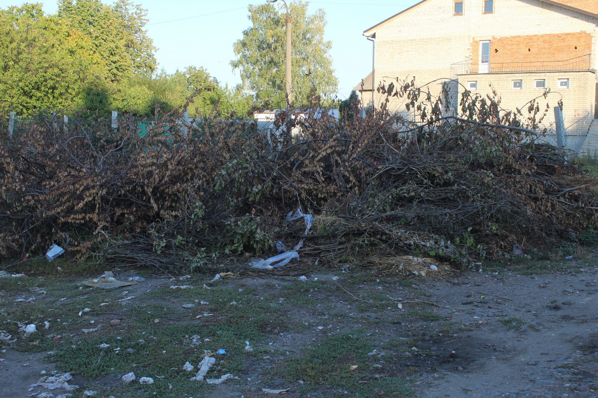 Новини Козятина - фото з Бур’яни на горілій рампі і райське місце та, на жаль, не у нас