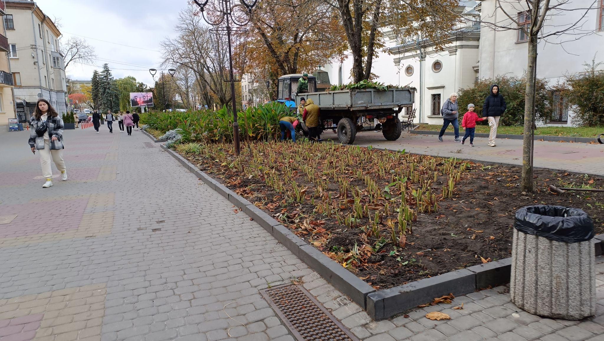 Новини Тернополя - фото з Квітники у центрі Тернополя готують до зими: фото дня
