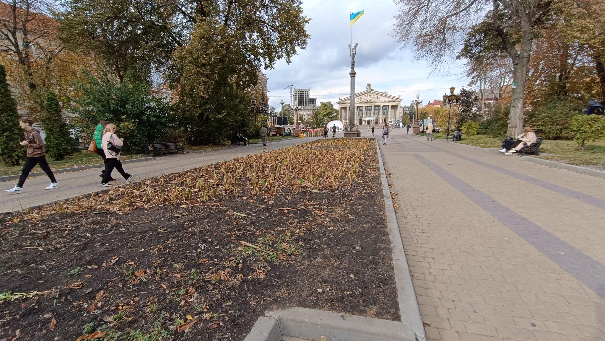 Новини Тернополя - фото з Квітники у центрі Тернополя готують до зими: фото дня