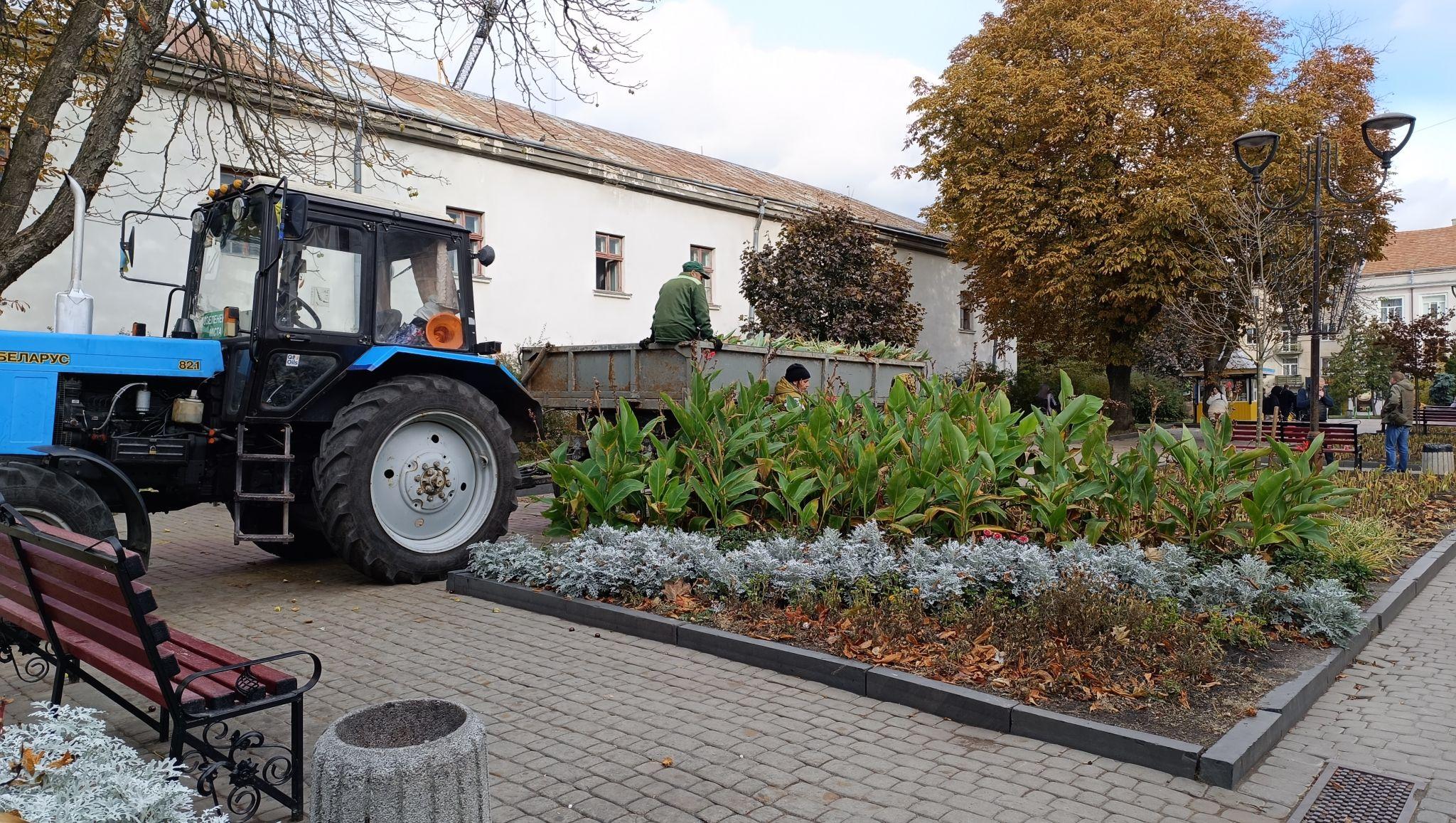 Новини Тернополя - фото з Квітники у центрі Тернополя готують до зими: фото дня