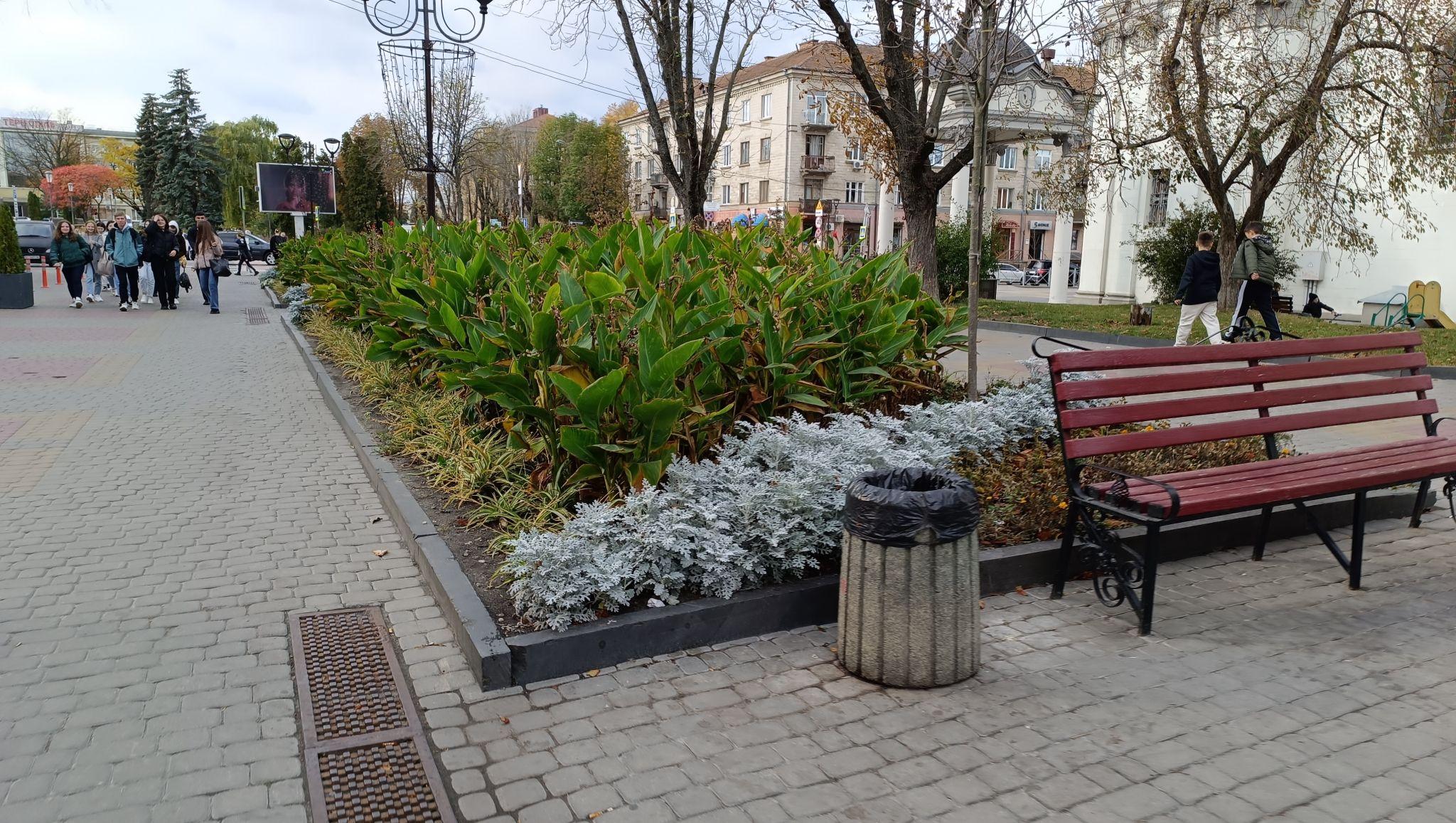 Новини Тернополя - фото з Квітники у центрі Тернополя готують до зими: фото дня