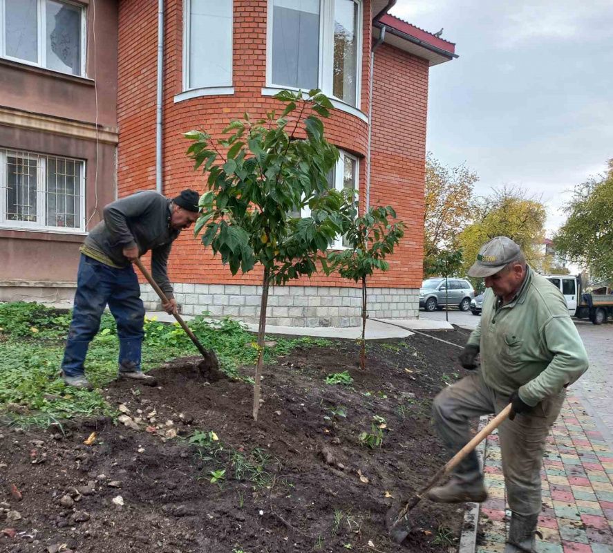 Новини Тернополя - фото з У Тернополі висадили декоративні яблуні, сливи та сакури