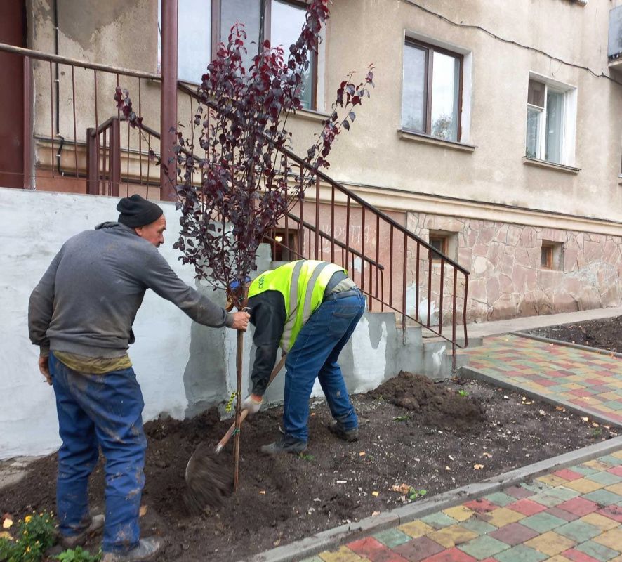 Новини Тернополя - фото з У Тернополі висадили декоративні яблуні, сливи та сакури