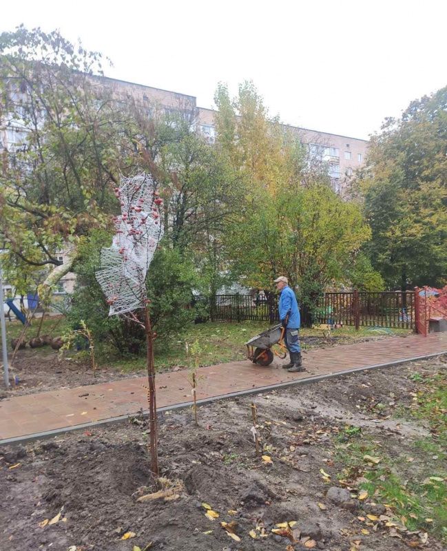 Новини Тернополя - фото з У Тернополі висадили декоративні яблуні, сливи та сакури