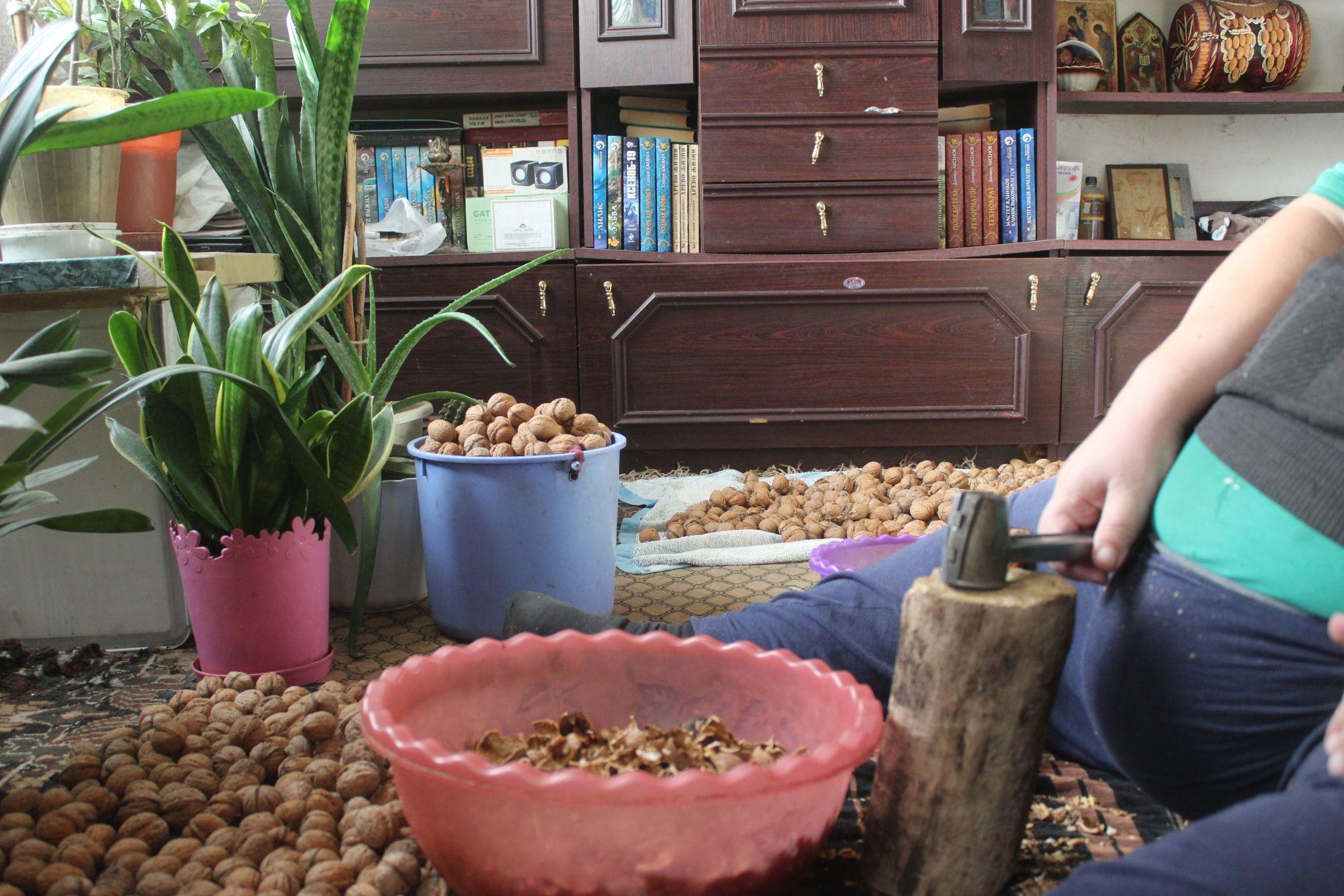 Новини Козятина - фото з Смачні і дуже корисні, а ще це — гроші, які падають з дерева