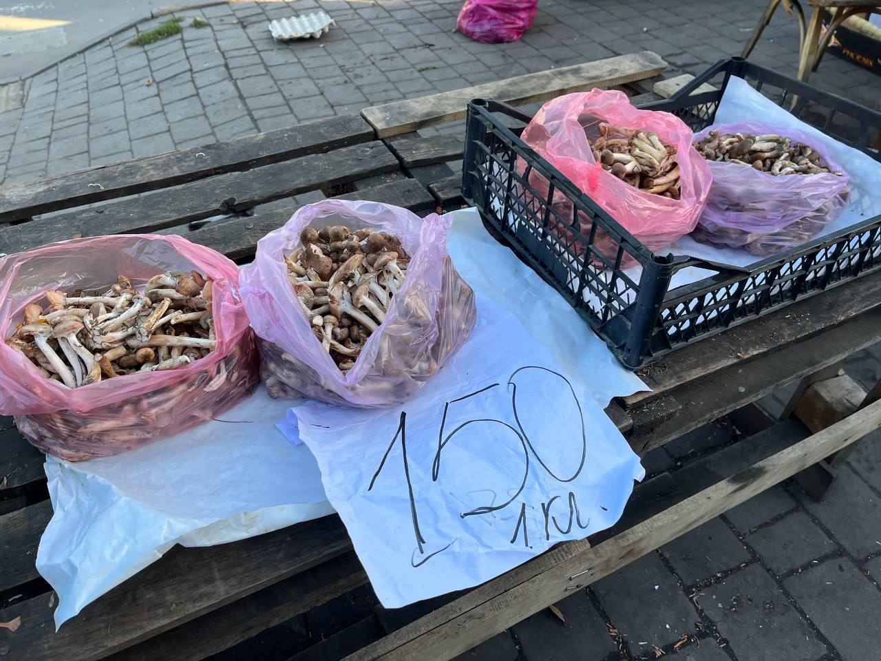 Новини Тернополя - фото з Гриби на стихійних ринках Тернополя: скільки коштують та як не отруїтися