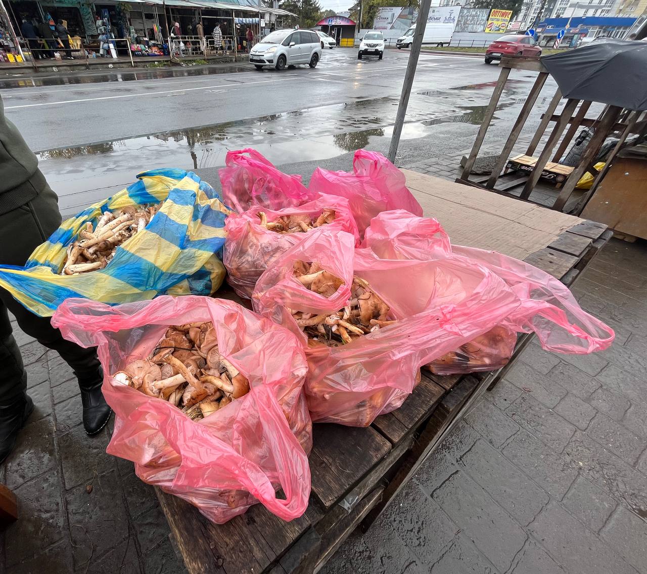 Новини Тернополя - фото з Гриби на стихійних ринках Тернополя: скільки коштують та як не отруїтися