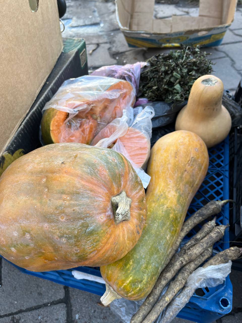 Новини Тернополя - фото з Шипшина за 35 гривень, а груша – 70: скільки коштують сезонні фрукти, овочі та ягоди у Тернополі