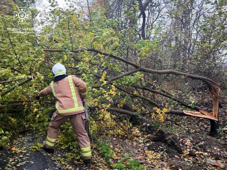 Новини Житомира - фото з Рятувальники ліквідовували наслідки негоди