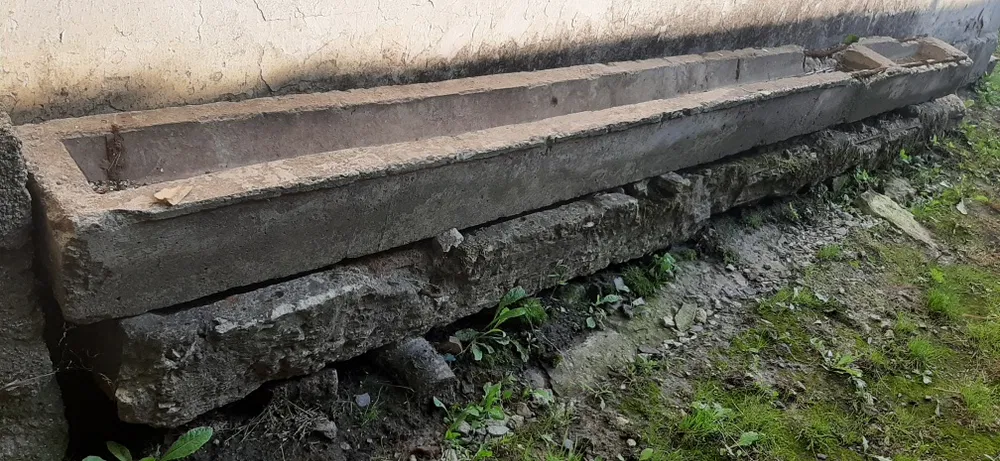 Новини Тернополя - фото з Дитячий одяг, тварин та навіть ліки: що тернополяни готові віддати безкоштовно