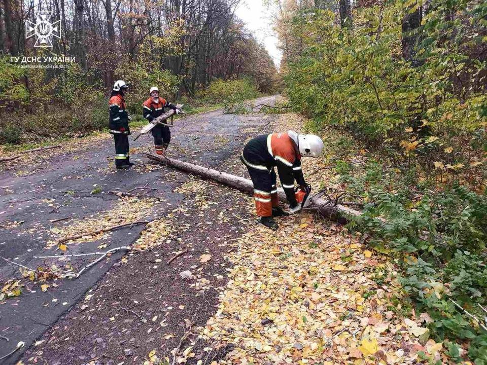Новини Житомира - фото з Рятувальники ліквідовували наслідки негоди