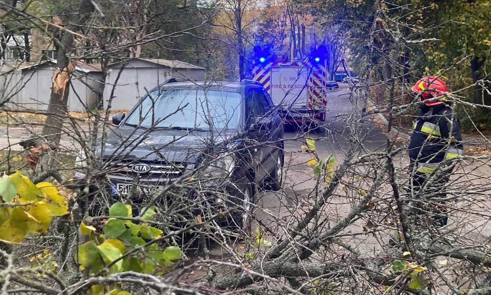 Новини Козятина - фото з Майже два десятки знеструмлених повітряних ліній: енергетики про наслідки негоди, що вирувала вихідними