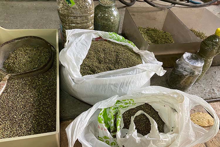 Новини Тернополя - фото з Правоохоронці викрили групу, яка у Тернополі продавала підроблені долари