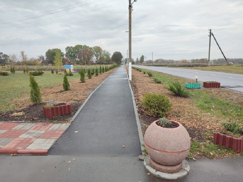 Новини Вінниці - фото з «Тут пройде парад Перемоги». Алею Миру на честь земляків-захисників висадили у Калинівській громаді