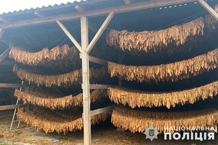 Новини Тернополя - фото з Поліцейські Тернопільщини викрили групу, яка незаконно виробляла сигарети