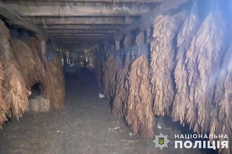 Новини Тернополя - фото з Поліцейські Тернопільщини викрили групу, яка незаконно виробляла сигарети