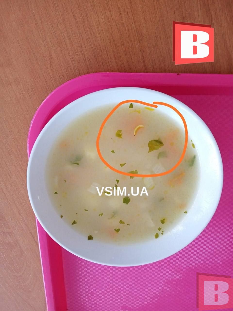 Новини Хмельницького - фото з Суп з хробаком у шкільній їдальні: що відомо про інцидент на Кам’янеччині