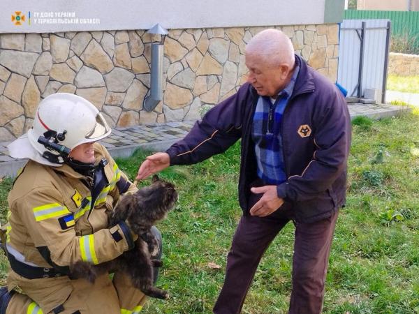 Новини Тернополя - фото з Борщівські надзвичайники врятували кошеня