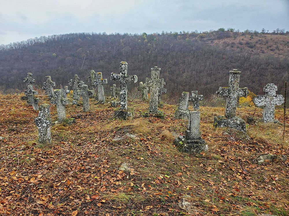 Новини Вінниці - фото з «Мертві не встануть прибирати цвинтар». Хочуть показувати туристам місця давніх поховань