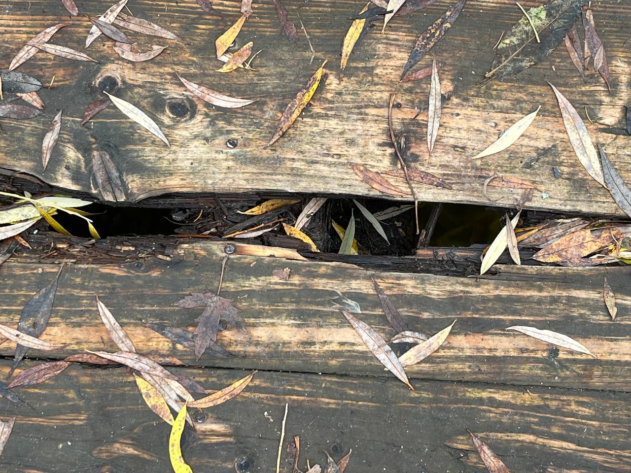 Новини Тернополя - фото з Через дірки вже видно водойму: коли у парку «Сопільче» відремонтують міст